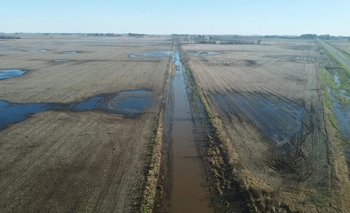 Imagen de la nota: Nación declaró a 10 municipios bonaerenses en emergencia agropecuaria