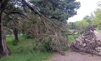 Temporal en Olavarría: este sábado cayeron más de 30 milímetros de lluvia  Imagen de la nota: Temporal en Olavarría: este sábado cayeron más de 30 milímetros de lluvia