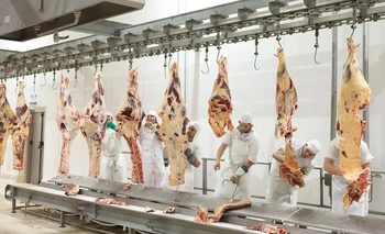 Imagen de la nota: Ante la crisis cárnica, cobrarán el servicio de faena en la Provincia