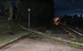 Imagen de la nota: Temporal causó destrozos en General La Madrid, Huanguelén y Guaminí 