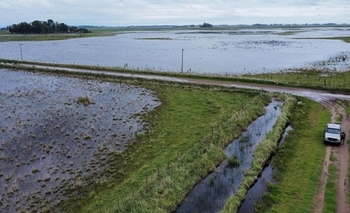 Imagen de la nota: El noroeste bonaerense, con suelos ya anegados, está bajo alerta naranja por tormentas