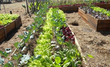 Imagen de la nota: Se realiza el taller 