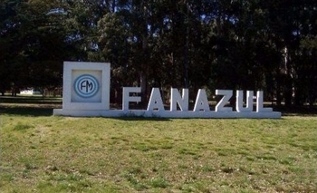 Imagen de la nota: La provincia subsidió a los trabajadores despedidos de Fanazul