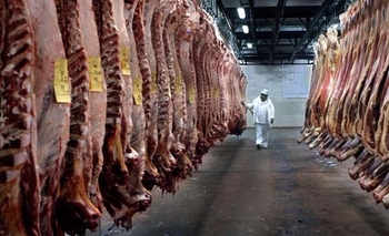 La exportación de carne vacuna creció 34% en 2017 Imagen de la nota: La exportación de carne vacuna creció 34% en 2017