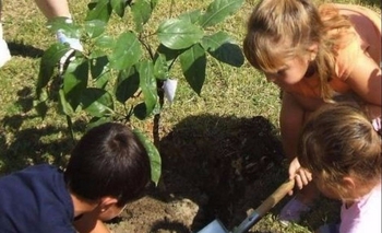 Imagen de la nota: Realizarán taller de Herramientas ECOpedagógicas