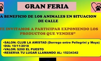 Feria a beneficio de animales callejeros: convocan a expositores Imagen de la nota: Feria a beneficio de animales callejeros: convocan a expositores