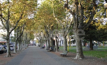 Imagen de la nota: Año Nuevo: cómo estará el clima a la hora del brindis