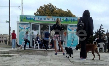 Imagen de la nota: Finaliza la Campaña Anual de Vacunación Antirrábica