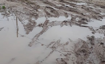 Imagen de la nota: Más reclamos por el mal estado de las calles