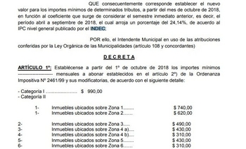 Imagen de la nota: Galli utilizó autorización para subir las Tasas por decreto 
