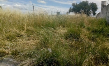 Imagen de la nota: Pastizales: también reclamos del barrio Provincias Unidas