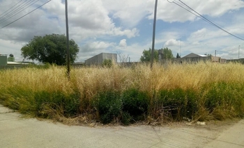 Imagen de la nota: Terrenos baldíos: multas  de más de 80 mil pesos