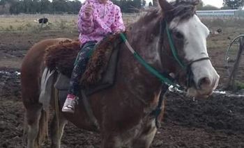 Imagen de la nota: Encontraron al petiso intensamente buscado