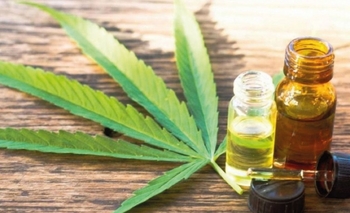 Avances en la Mesa de Cannabis de Olavarría Imagen de la nota: Avances en la Mesa de Cannabis de Olavarría