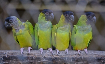 Curso de Fotografía en la Naturaleza para niños Imagen de la nota: Curso de Fotografía en la Naturaleza para niños