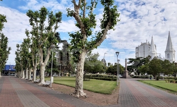 Imagen de la nota: ¿Primavera anticipada?: Se esperan 25ºC para este viernes