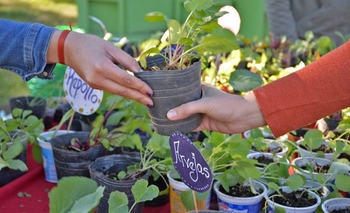 Jueves de Ecocanje en el Parque del Bicentenario Imagen de la nota: Jueves de Ecocanje en el Parque del Bicentenario