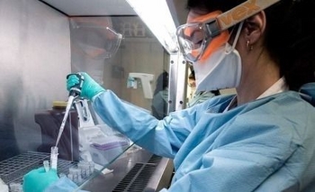 Imagen de la nota: Coronavirus: continúa bajando la curva en el país