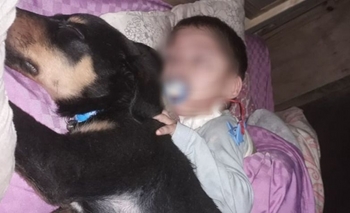 Imagen de la nota: Buscan un cachorro perdido