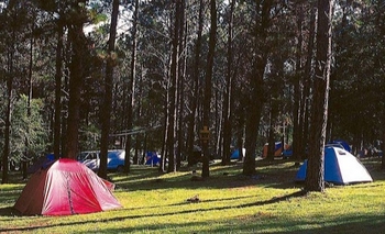 Imagen de la nota: Vacaciones 2021: finalmente abrirán los campings