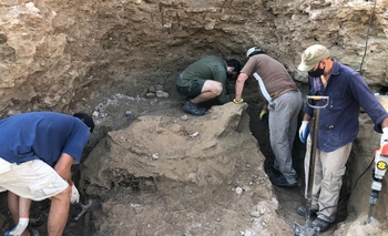 Imagen de la nota: Hallaron un gliptodonte en el Salto de Piedra 