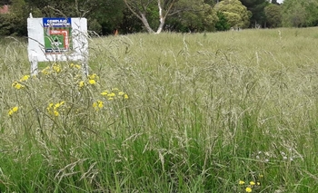Imagen de la nota: Vecinos denuncian “abandono” del barrio AOMA