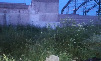 Imagen de la nota: Convirtieron un terreno en un basural: hay ratas y víboras