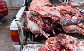 Decomisan mil kilos de carne de un supermercado Imagen de la nota: Decomisan mil kilos de carne de un supermercado