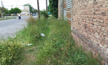 Barrio Alberdi: quejas por una vereda “intransitable” Imagen de la nota: Barrio Alberdi: quejas por una vereda “intransitable”