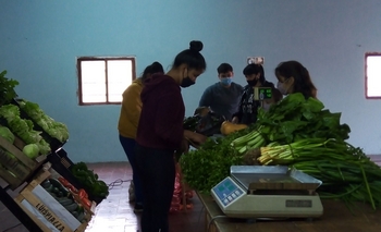 Imagen de la nota: Domingo de feria de verduras del MTE