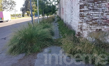 Imagen de la nota: Quejas de vecinos por el estado de una vereda