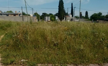 Pastizales en Villa Aurora: “Hice el reclamo en marzo” Imagen de la nota: Pastizales en Villa Aurora: “Hice el reclamo en marzo”