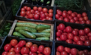 Imagen de la nota: Se realiza una feria navideña en el Parque Helios Eseverri