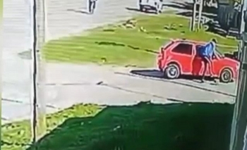 Imagen de la nota: Insólito: paró en una esquina y liberó cinco ratones