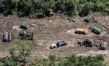 Imagen de la nota: En 20 años, Argentina perdió 438 mil hectáreas de bosque primario