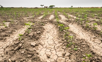 Imagen de la nota: 6 millones de hectáreas afectadas y 63 distritos en emergencia