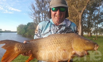 Video: capturaron una carpa de más de 10 kilos en el Arroyo Tapalqué Imagen de la nota: Video: capturaron una carpa de más de 10 kilos en el Arroyo Tapalqué