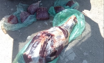 Imagen de la nota: Secuestran 100 kilos de carne e investigan su procedencia: la vendían por Facebook