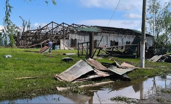 Imagen de la nota: Urdampilleta, el día después del temporal: techos volados, árboles arrancados de raíz y calles anegadas