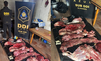 Imagen de la nota: Tres hombres fueron aprehendidos por un hecho de abigeato