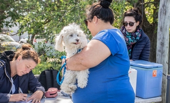 Imagen de la nota: Operativo de bloqueo ante un caso positivo de rabia en murciélago