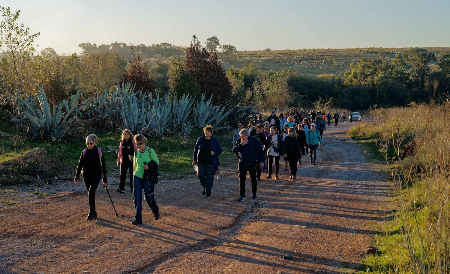 imagen mas leída seccion 