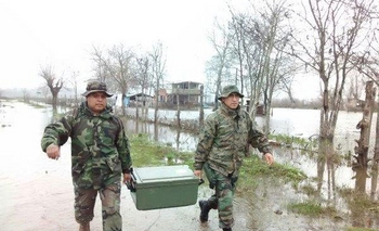 Imagen de la nota: El río Uruguay 