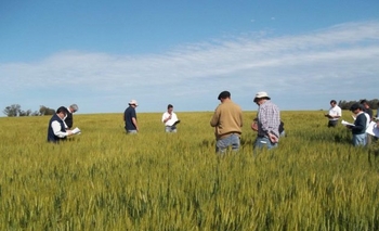 Los pequeños productores temen que las nuevas medidas no los incluyan, dijo Miotti Imagen de la nota: Los pequeños productores temen que las nuevas medidas no los incluyan, dijo Miotti
