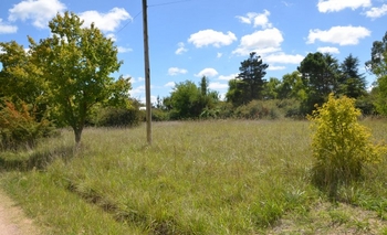 El municipio inspecciona terrenos baldíos y realiza multas Imagen de la nota: El municipio inspecciona terrenos baldíos y realiza multas