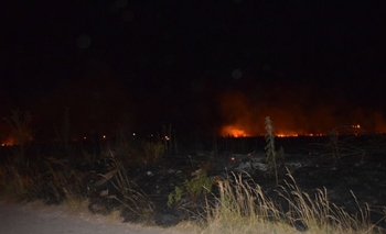 Imagen de la nota: Noche atareada para Bomberos por incendios forestales