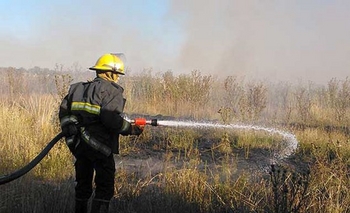 Arduo trabajo de bomberos durante la jornada de éste viernes Imagen de la nota: Arduo trabajo de bomberos durante la jornada de éste viernes