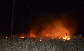 Bomberos emitió un comunicado por los incendios forestales Imagen de la nota: Bomberos emitió un comunicado por los incendios forestales
