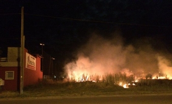 Siguen los incendios forestales: uno en el predio donde tocará el Indio Imagen de la nota: Siguen los incendios forestales: uno en el predio donde tocará el Indio