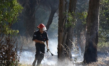 Sin descanso: Bomberos continúa trabajando en distintos sectores Imagen de la nota: Sin descanso: Bomberos continúa trabajando en distintos sectores